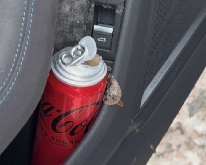 Coca-cola