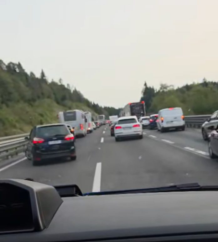 reševalni pas